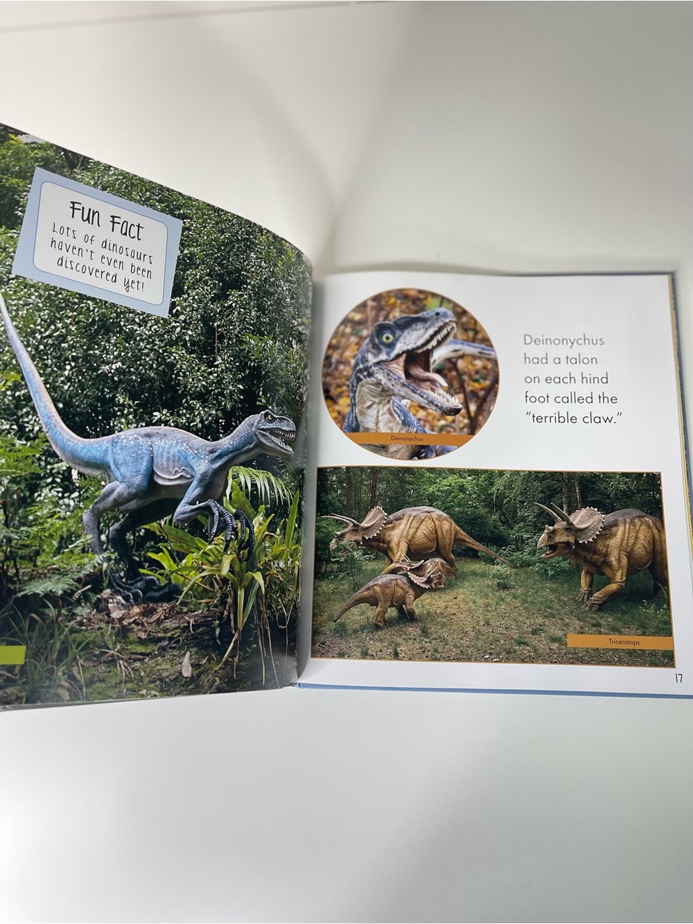 The Wonder Of Dinosaurs Hardcover Picture Book: Dinosaur Facts Fun & Educational - Picture 7 of 7